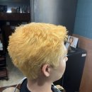 봄꽃헤어 - 달서구 | 봄꽃헤어