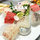 금하횟집 | 울산 무거동 룸식당 맛집 금하횟집 모듬회 회식장소