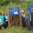 서리풀길 9 이미지