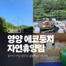 둥지휴양림 | 영양에코둥지 흥림산자연휴양림 후기