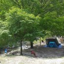 두밀리낚시터 이미지