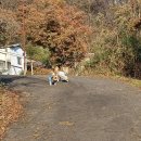 소리야네집 이미지