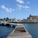 코히마르 이미지