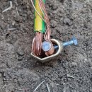 접지농장 이미지