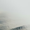 결벽 - 김해시 덕정로186번길 7-1 | 결벽
