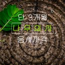다옴나무병원 이미지