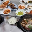 멋내는 애견 이미지