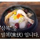 🐔2022년 마지막 복날 아침편지~♬ &#39;말복의 노래&#39; 이미지