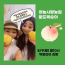 하늘사랑농원 이미지