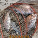 독도바다낚시터 이미지