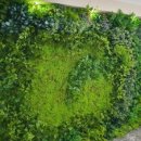 (주)지산호디자인 이미지