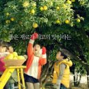 오뚜기PC 이미지