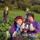 애드피아 - 천안시 서북구 쌍용대로 43-22 | 애드피아