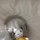 채다올김밥 대곡점 이미지