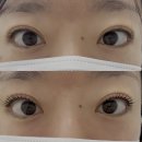 양산 / 아베르뷰티 양산속눈썹 양산증산속눈썹펌