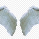 천사날개 이미지