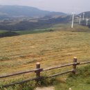 대평원목장 이미지