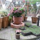 민들레울 이미지