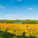 해나의정원 이미지