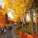 신정호수공원-10 이미지