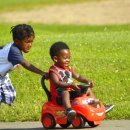 똑똑한 선택을 이끄는 힘, 행동경제학 | [서평] 넛지(Nudge)(복잡한 세상에서 똑똑한 선택을 이끄는 힘)(행동경제학)