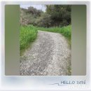 금처구여 Daum카페