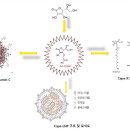 C.Y.바이오 이미지