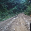 잦나무목장 이미지