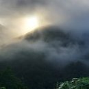 신선왕선