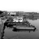 詩가 된 풍경 이미지