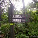 남원 개령암지 마애불상군 이미지