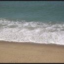 정호농장 이미지