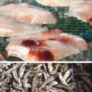 해물천국 이미지