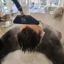 앤헤어샵 이미지