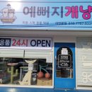 예뻐지개냥 이미지