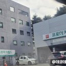 프로미자주카 이미지
