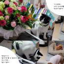 모란상사 이미지