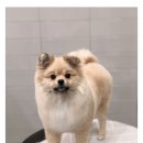 스파 앤 컷 이미지