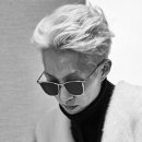 2단지책과비디오 이미지