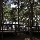 용봉산캠핑장