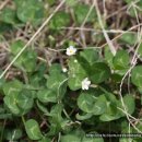 금봉산 농장 이미지