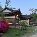 조가네갑오징어원주점 이미지