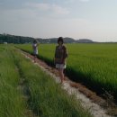 추장민박 이미지