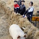 지영축산 이미지