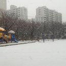 월산초등학교 운동장 이미지