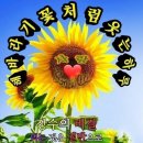 오늘더건강