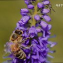 세류문화길삼거리 | 권선구 요양원 찾으시나요? 다솔장기요양센터 편안한 돌봄 공간