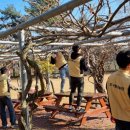 새날학교 이미지