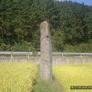 성주 용봉리 입석 이미지