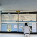 금해민박 | 제주도 서귀포 여행 천지연 폭포 서귀포 매일 올레 시장(서귀포 가볼만한 곳 핫플 제주도 남쪽 여행)